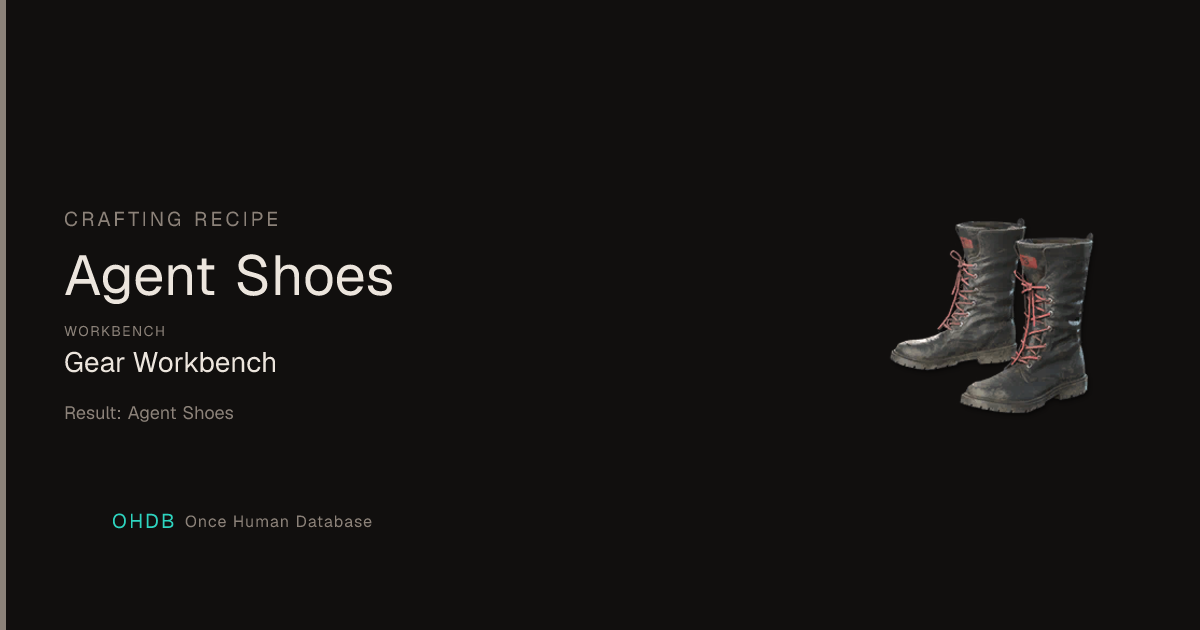 Agent Shoes