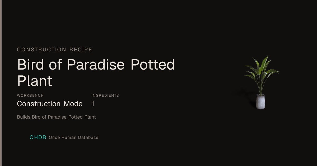 Bird of Paradise Potted Plant