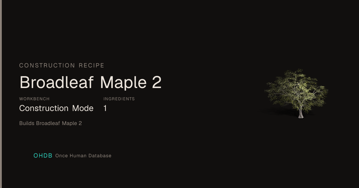 Broadleaf Maple 2