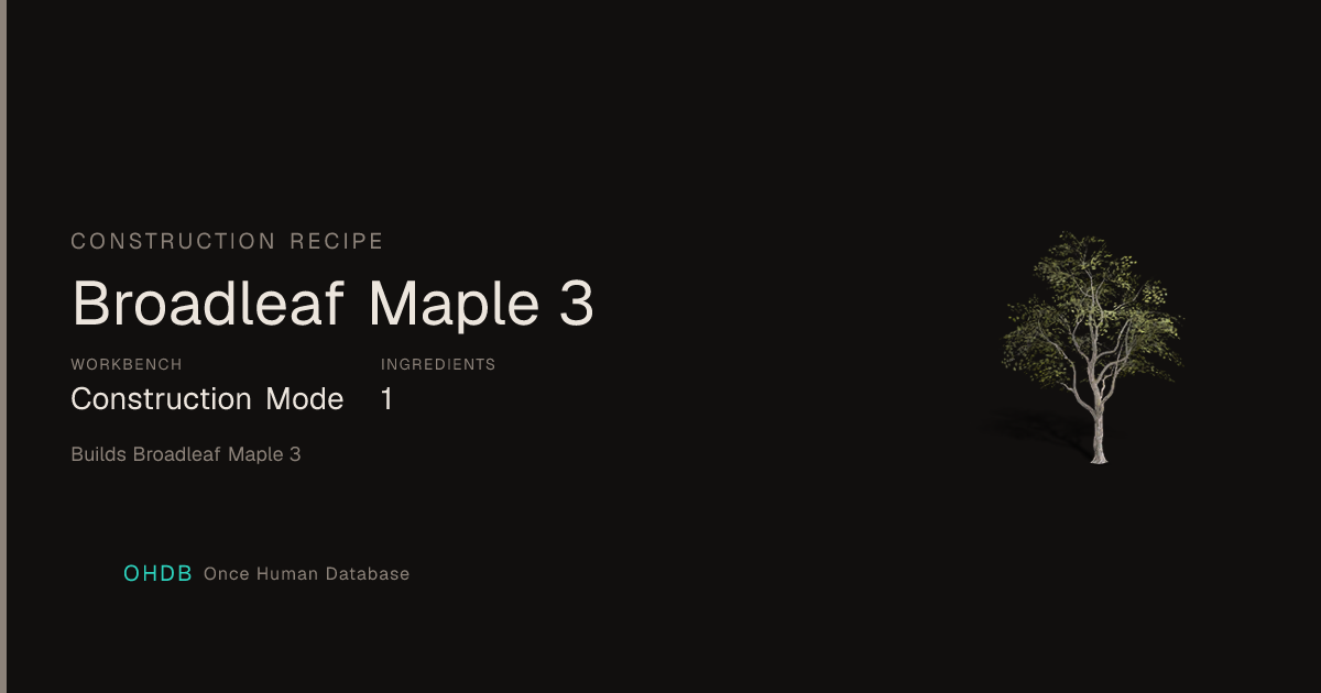 Broadleaf Maple 3