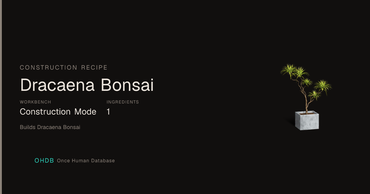 Dracaena Bonsai