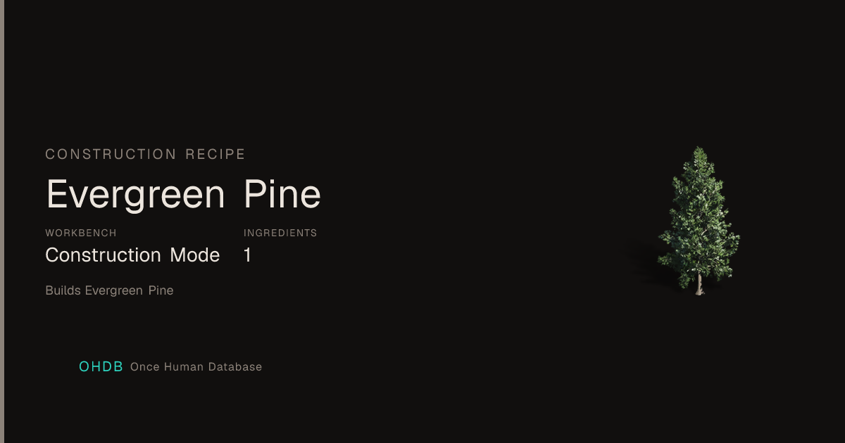 Evergreen Pine