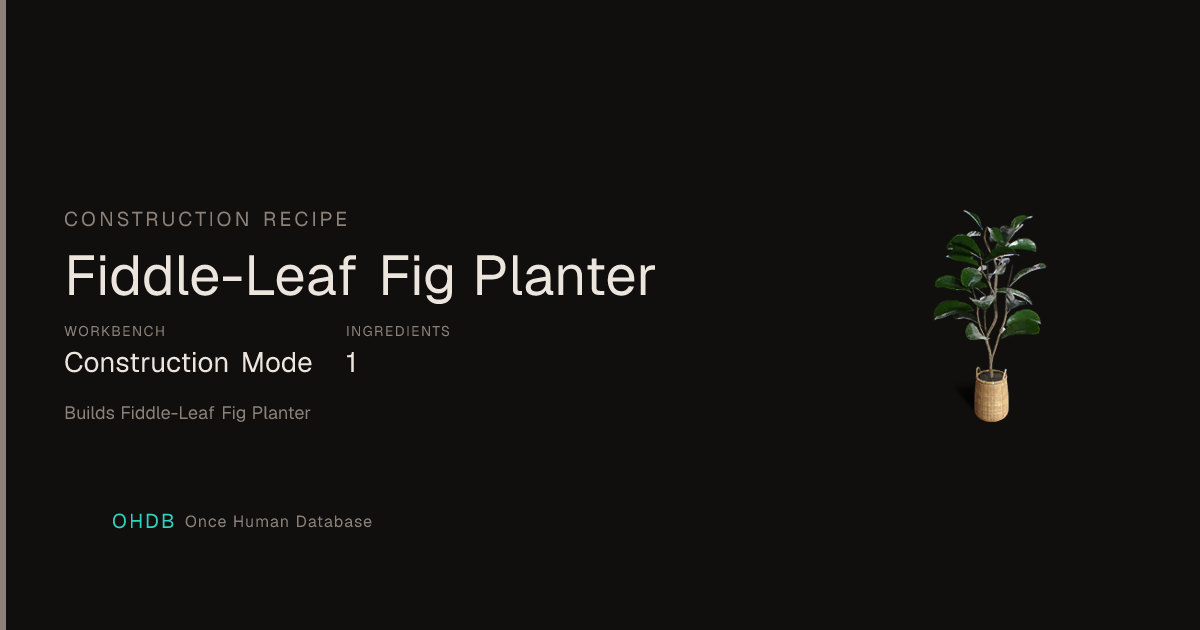 Fiddle-Leaf Fig Planter