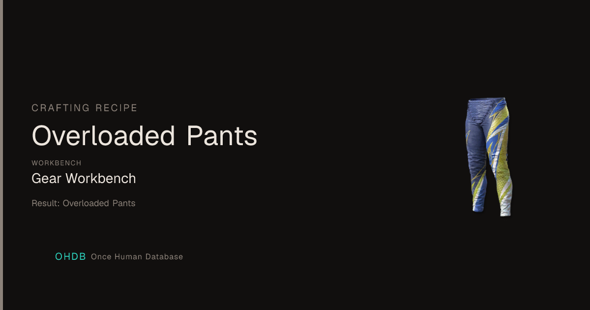 Overloaded Pants
