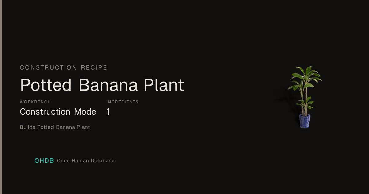 Potted Banana Plant
