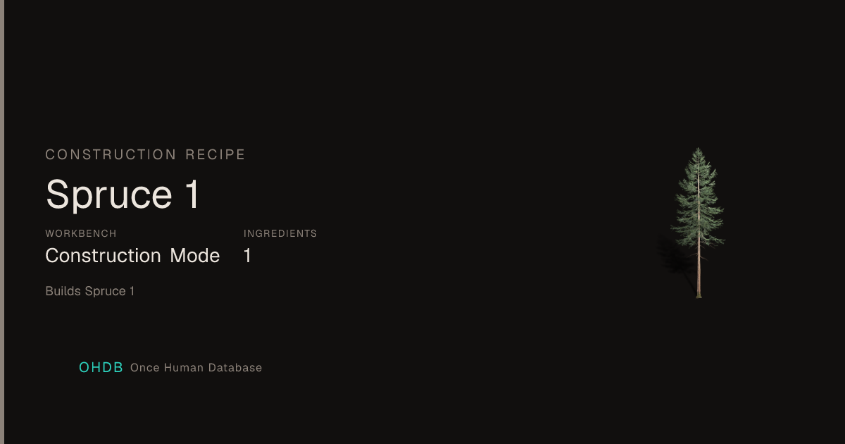 Spruce 1
